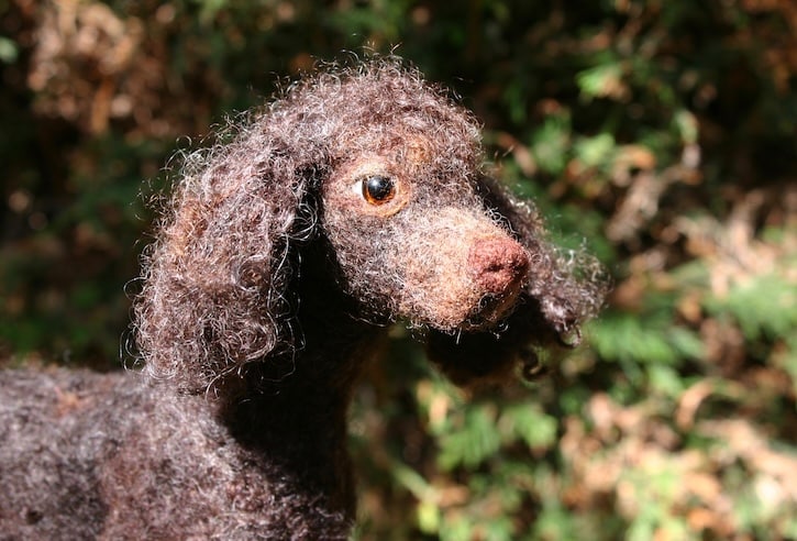 Poppy – Needle Felted